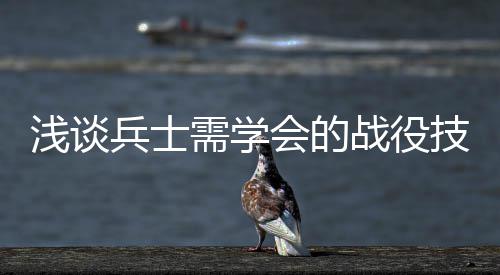 技能战役需学会的兵士浅谈