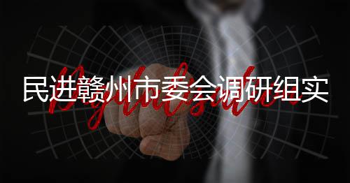 民进研组赣州赣州项目会调调研餐厨市委实地